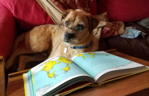 How Smart is Your Dog-Smarty Dog Word Tracker